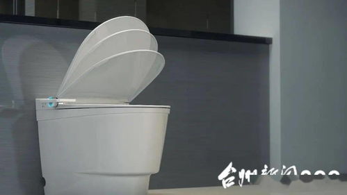 臺州 臺州 臺州,驚艷上海灘