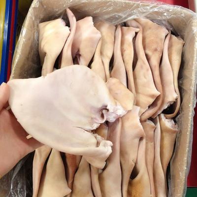 浙江臺州溫嶺市新鮮豬耳朵批發 價格實惠，品質保證